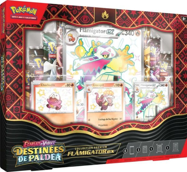 coffret destinées de paldea flamigator